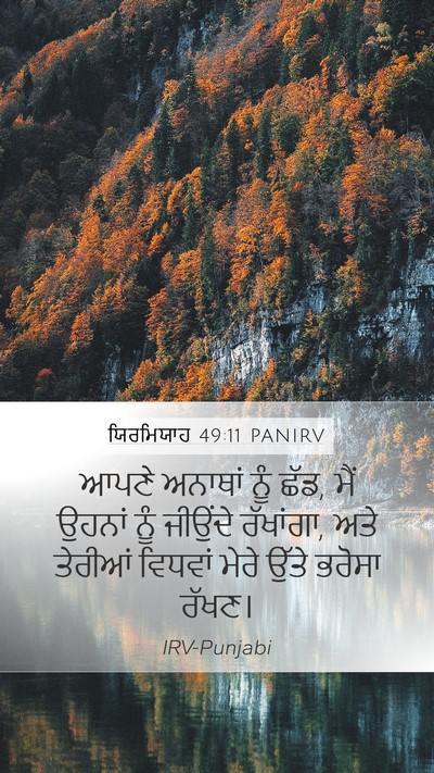 ਯਿਰਮਿਯਾਹ 49:11 PANIRV Bible Verse Image