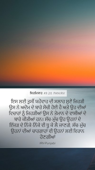 ਯਿਰਮਿਯਾਹ 49:20 PANIRV Bible Verse Image