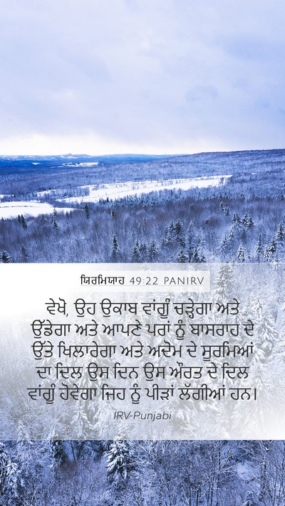 ਯਿਰਮਿਯਾਹ 49:22 PANIRV Bible Verse Image