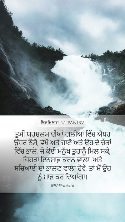 ਯਿਰਮਿਯਾਹ 5:1 PANIRV Bible Verse Image