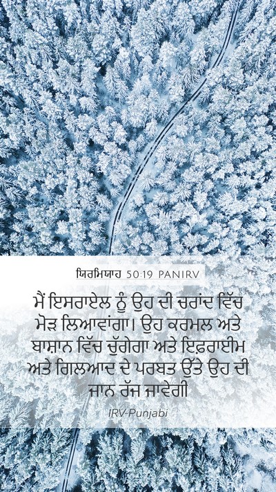 ਯਿਰਮਿਯਾਹ 50:19 PANIRV Bible Verse Image