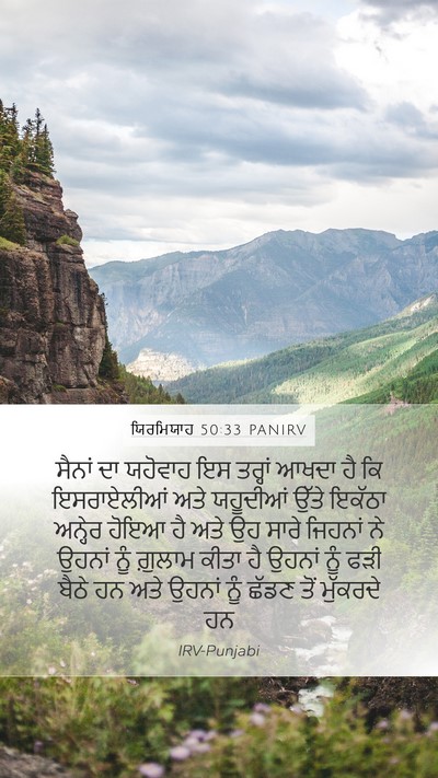 ਯਿਰਮਿਯਾਹ 50:33 PANIRV Bible Verse Image
