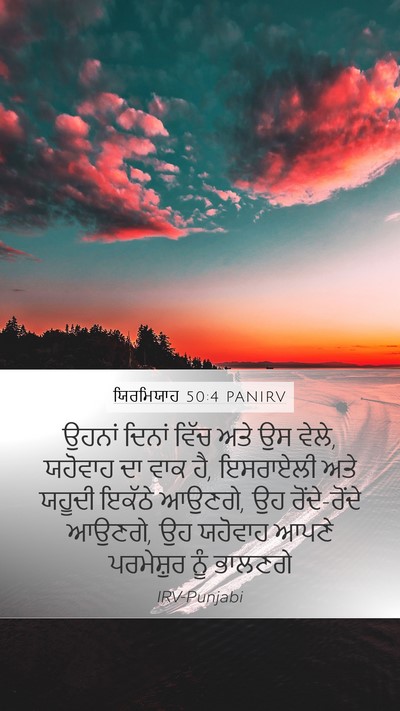 ਯਿਰਮਿਯਾਹ 50:4 PANIRV Bible Verse Image