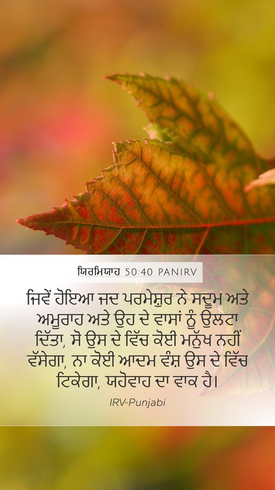 ਯਿਰਮਿਯਾਹ 50:40 PANIRV Bible Verse Image