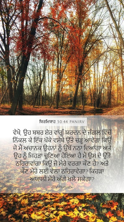 ਯਿਰਮਿਯਾਹ 50:44 PANIRV Bible Verse Image