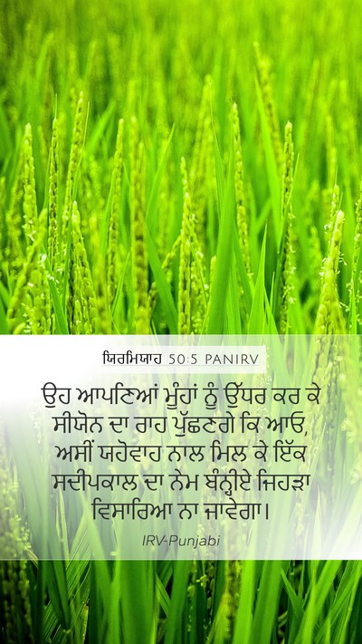 ਯਿਰਮਿਯਾਹ 50:5 PANIRV Bible Verse Image