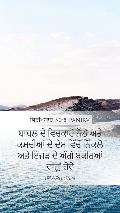 ਯਿਰਮਿਯਾਹ 50:8 PANIRV Bible Verse Image