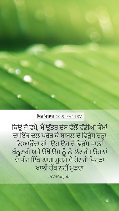 ਯਿਰਮਿਯਾਹ 50:9 PANIRV Bible Verse Image