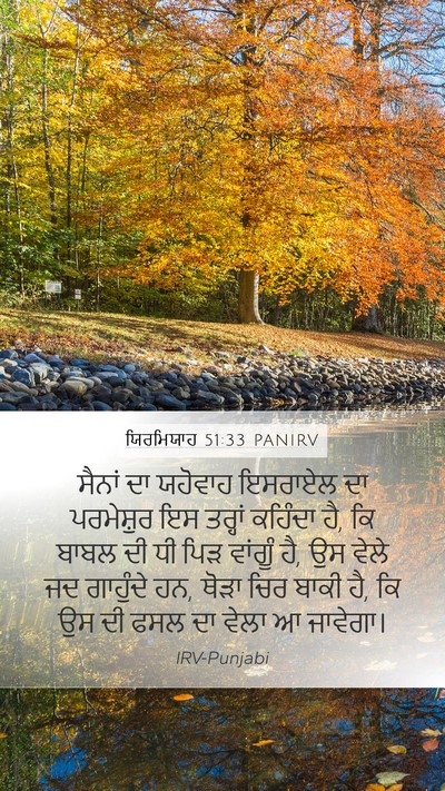 ਯਿਰਮਿਯਾਹ 51:33 PANIRV Bible Verse Image