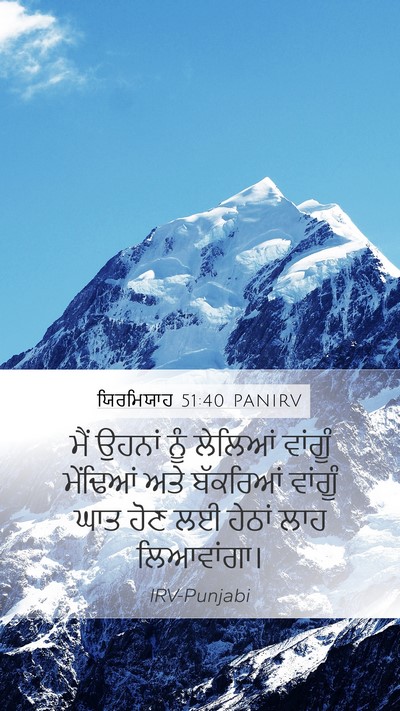 ਯਿਰਮਿਯਾਹ 51:40 PANIRV Bible Verse Image