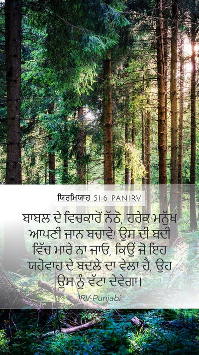 ਯਿਰਮਿਯਾਹ 51:6 PANIRV Bible Verse Image