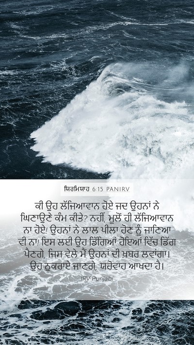 ਯਿਰਮਿਯਾਹ 6:15 PANIRV Bible Verse Image