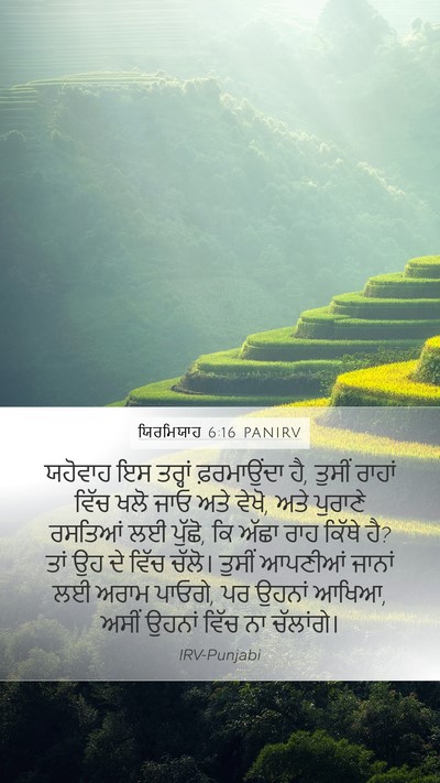 ਯਿਰਮਿਯਾਹ 6:16 PANIRV Bible Verse Image