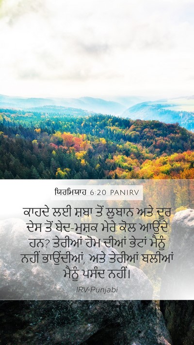 ਯਿਰਮਿਯਾਹ 6:20 PANIRV Bible Verse Image