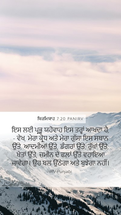 ਯਿਰਮਿਯਾਹ 7:20 PANIRV Bible Verse Image