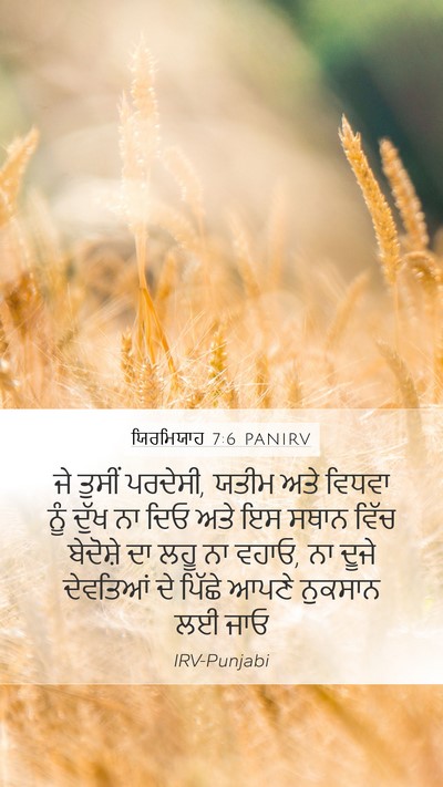 ਯਿਰਮਿਯਾਹ 7:6 PANIRV Bible Verse Image