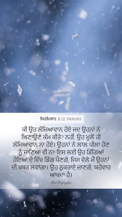 ਯਿਰਮਿਯਾਹ 8:12 PANIRV Bible Verse Image
