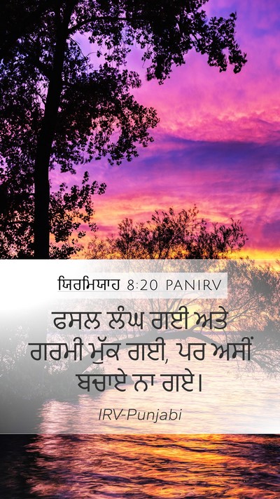 ਯਿਰਮਿਯਾਹ 8:20 PANIRV Bible Verse Image