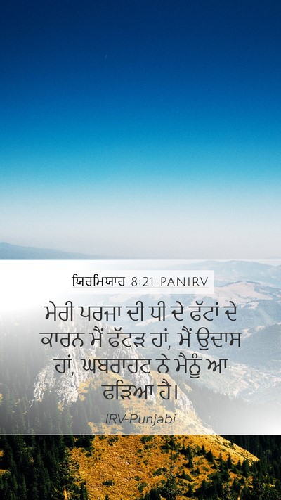 ਯਿਰਮਿਯਾਹ 8:21 PANIRV Bible Verse Image