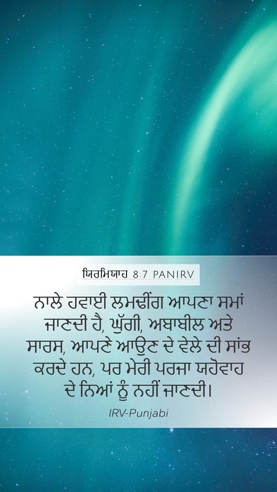 ਯਿਰਮਿਯਾਹ 8:7 PANIRV Bible Verse Image