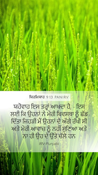 ਯਿਰਮਿਯਾਹ 9:13 PANIRV Bible Verse Image