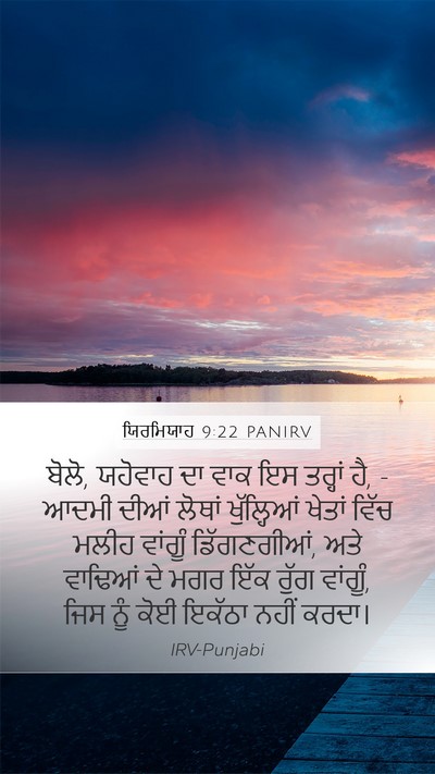 ਯਿਰਮਿਯਾਹ 9:22 PANIRV Bible Verse Image