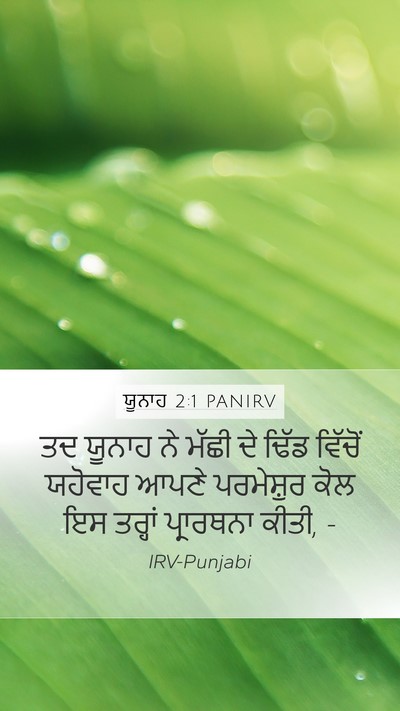 ਯੂਨਾਹ 2:1 PANIRV Bible Verse Image