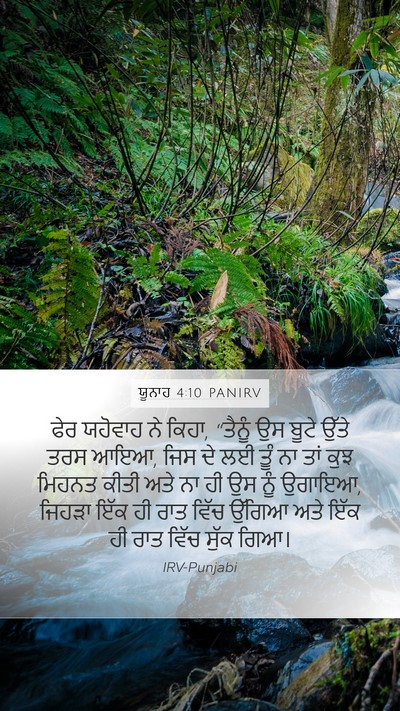 ਯੂਨਾਹ 4:10 PANIRV Bible Verse Image