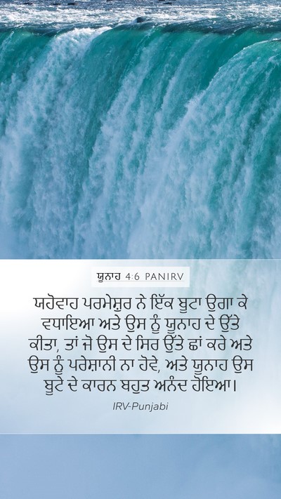 ਯੂਨਾਹ 4:6 PANIRV Bible Verse Image