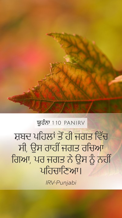 ਯੂਹੰਨਾ 1:10 PANIRV Bible Verse Image