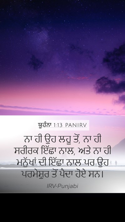 ਯੂਹੰਨਾ 1:13 PANIRV Bible Verse Image