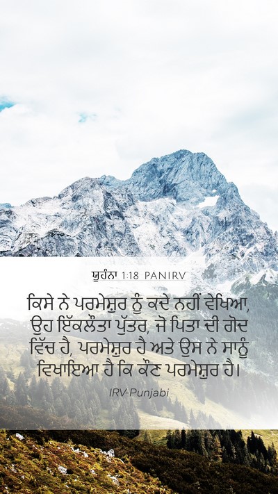 ਯੂਹੰਨਾ 1:18 PANIRV Bible Verse Image