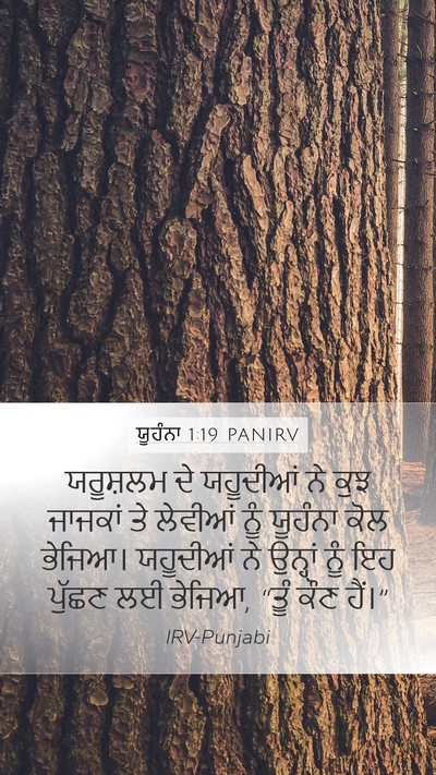 ਯੂਹੰਨਾ 1:19 PANIRV Bible Verse Image