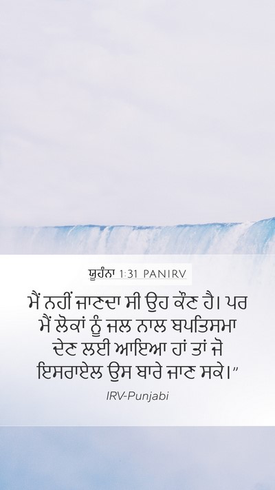 ਯੂਹੰਨਾ 1:31 PANIRV Bible Verse Image