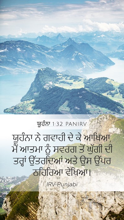 ਯੂਹੰਨਾ 1:32 PANIRV Bible Verse Image