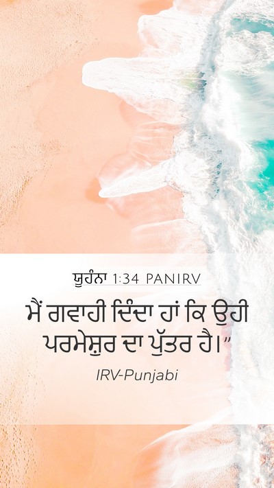 ਯੂਹੰਨਾ 1:34 PANIRV Bible Verse Image