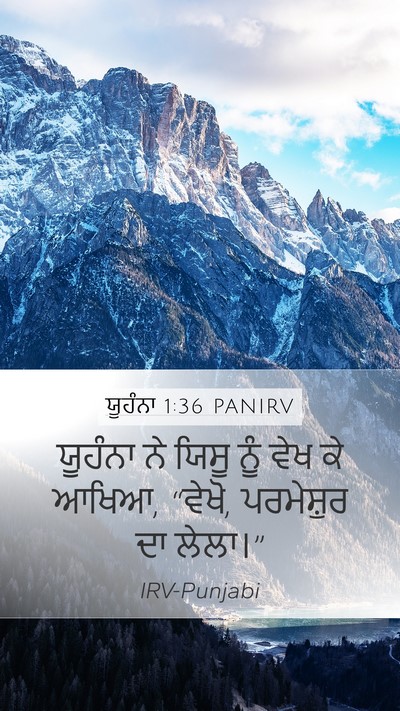ਯੂਹੰਨਾ 1:36 PANIRV Bible Verse Image