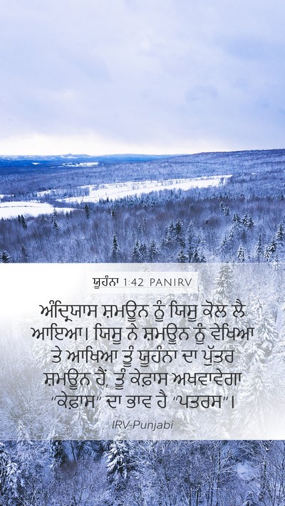 ਯੂਹੰਨਾ 1:42 PANIRV Bible Verse Image