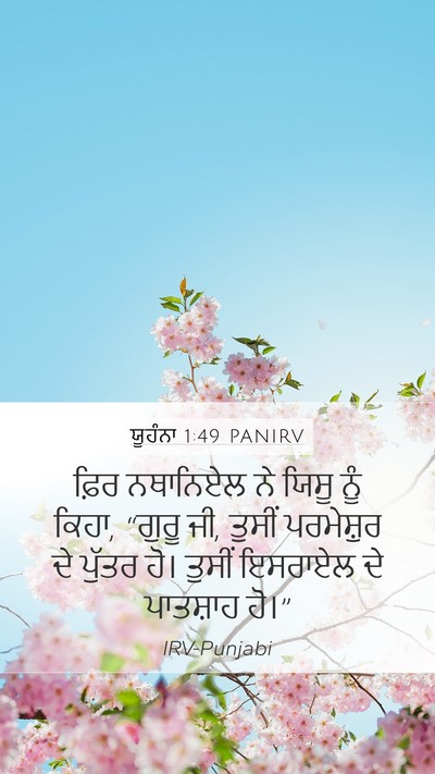 ਯੂਹੰਨਾ 1:49 PANIRV Bible Verse Image