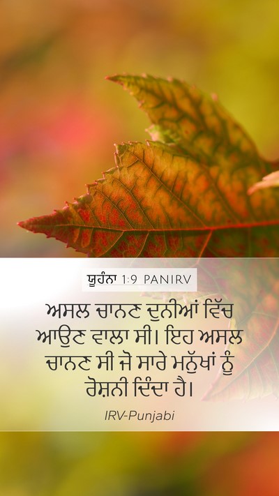 ਯੂਹੰਨਾ 1:9 PANIRV Bible Verse Image