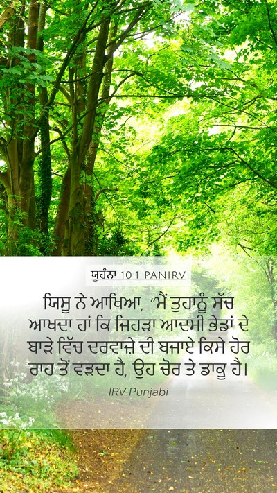 ਯੂਹੰਨਾ 10:1 PANIRV Bible Verse Image