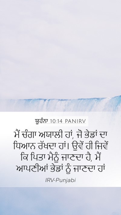 ਯੂਹੰਨਾ 10:14 PANIRV Bible Verse Image