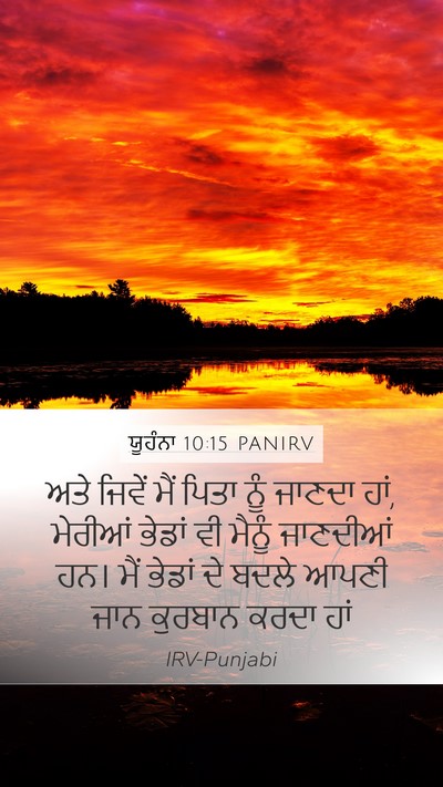 ਯੂਹੰਨਾ 10:15 PANIRV Bible Verse Image