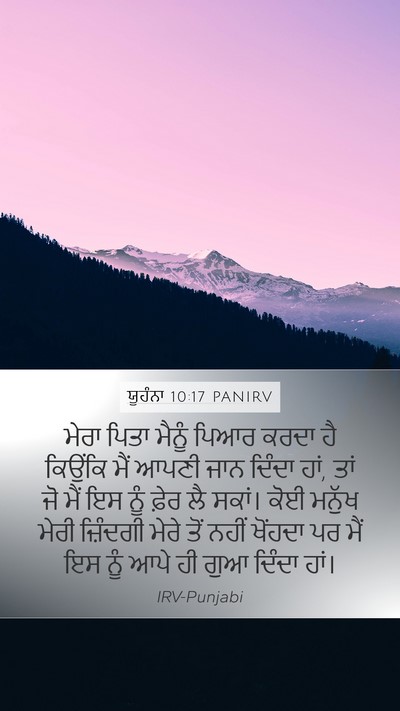 ਯੂਹੰਨਾ 10:17 PANIRV Bible Verse Image