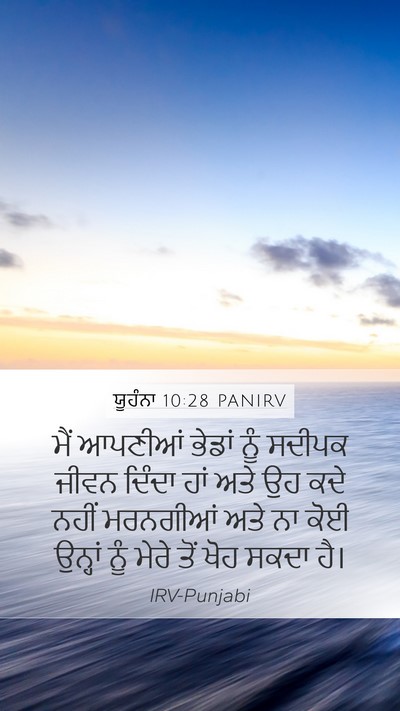 ਯੂਹੰਨਾ 10:28 PANIRV Bible Verse Image