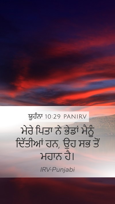 ਯੂਹੰਨਾ 10:29 PANIRV Bible Verse Image