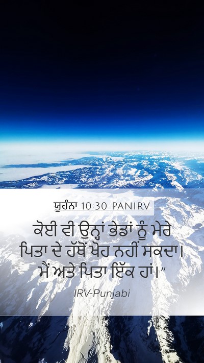 ਯੂਹੰਨਾ 10:30 PANIRV Bible Verse Image