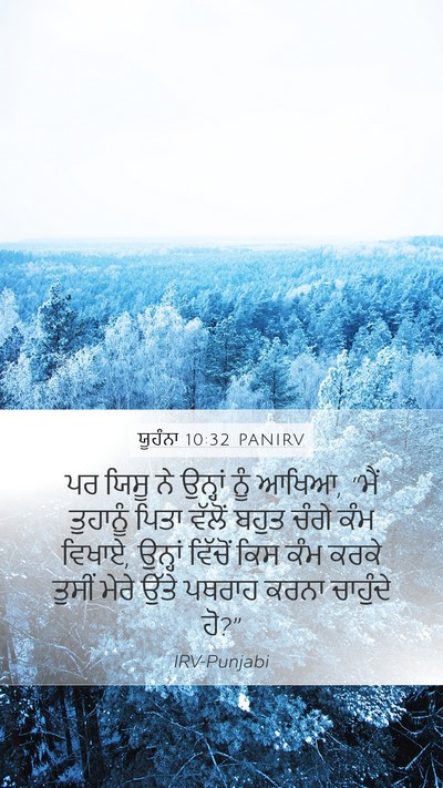ਯੂਹੰਨਾ 10:32 PANIRV Bible Verse Image