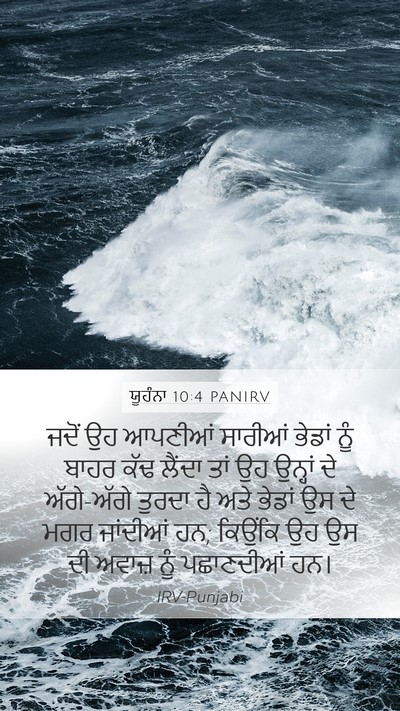 ਯੂਹੰਨਾ 10:4 PANIRV Mobile Phone Wallpaper - ਜਦੋਂ ਉਹ ਆਪਣੀਆਂ - Mobile Bible Verse Wallpaper