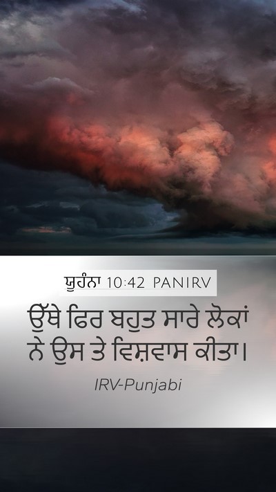 ਯੂਹੰਨਾ 10:42 PANIRV Mobile Phone Wallpaper - ਉੱਥੇ ਫਿਰ ਬਹੁਤ ਸਾਰੇ - Mobile Bible Verse Wallpaper